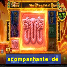 acompanhante de luxo porto velho